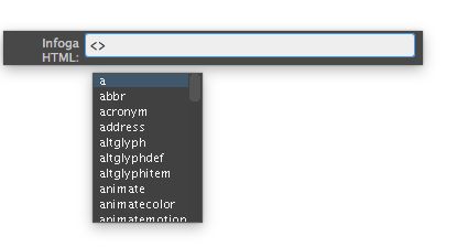 Snabbredigeraren i läget Infoga HTML