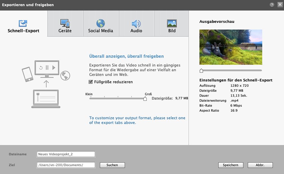 Schnell-Export