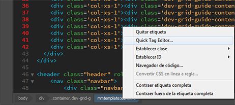 Selección de Quick Tag Editor