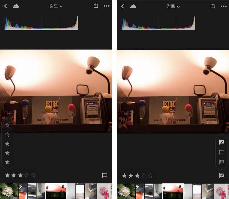 모바일용 Lightroom(iOS)의 등급 지정 및 검토 패널