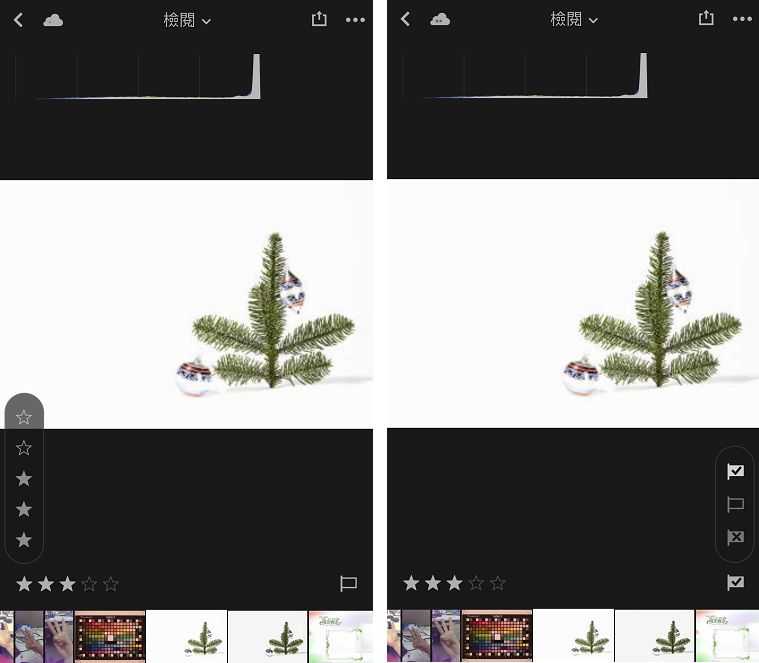 Lightroom for mobile (iOS) 中的評等與審核面板