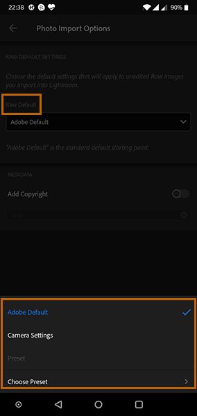 设置 Raw 图像默认值