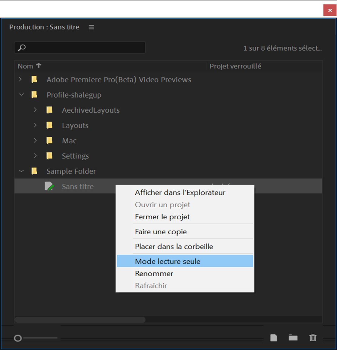 Modification du statut de verrouillage du projet