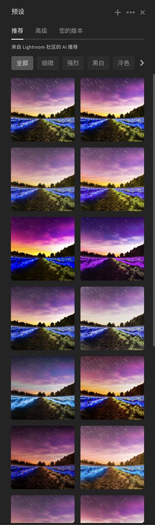 Lightroom 中的推荐预设