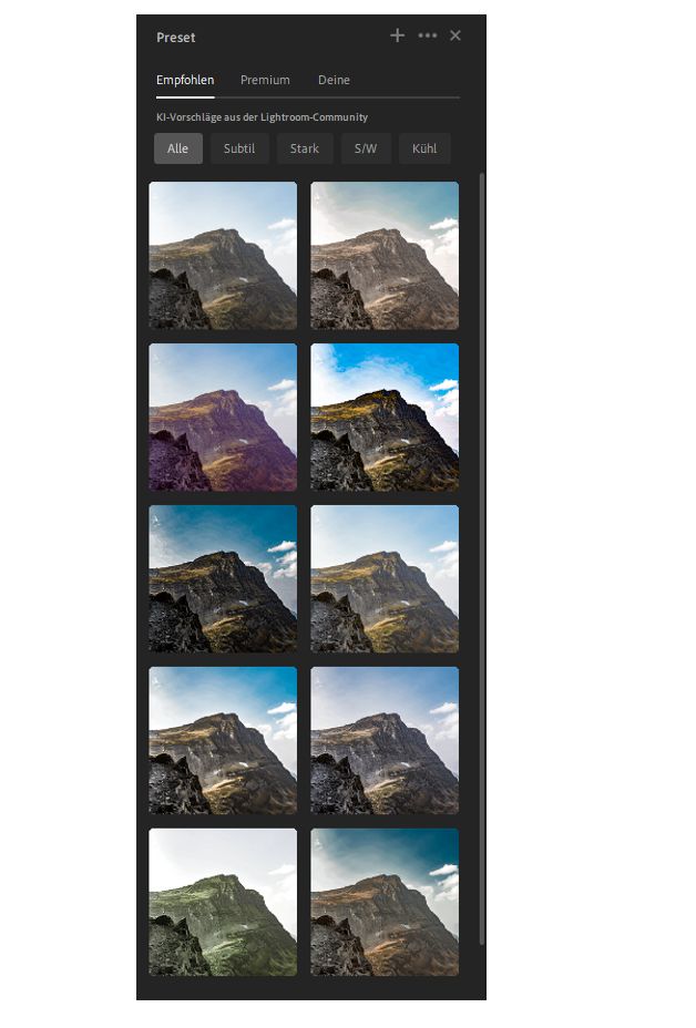 Empfohlene Presets in Lightroom