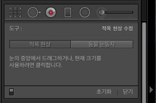 Lightroom 적목 현상 보정
