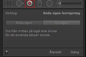 Lightroom: Röda-ögon-korrigering