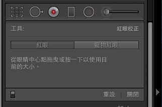 Lightroom 紅眼校正