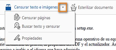 Censurar texto e imágenes