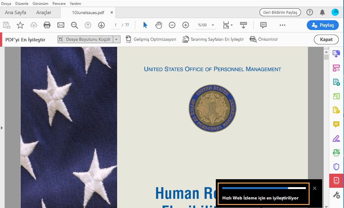 Tek bir PDF optimize edildiğinde ilerleme çubuğu