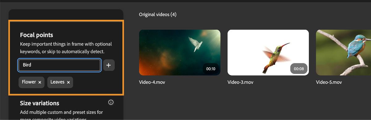 Videot ladataan uudelleenrajausta varten, ja avainsanaluettelo lisätään Polttopisteet-kohtaan. 