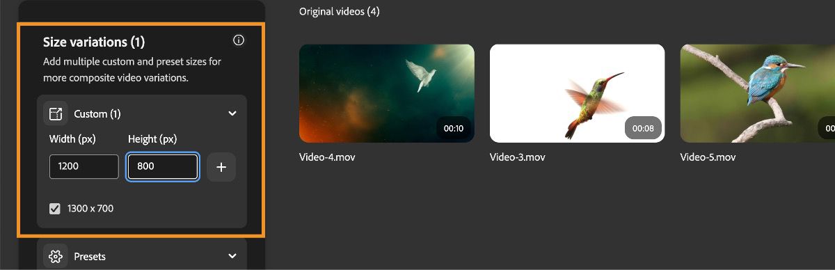Kokovariaatiot-osassa on mukautusvaihtoehto, jossa voit määrittää mukautetun kuvasuhteen videon uudelleenrajausta varten.