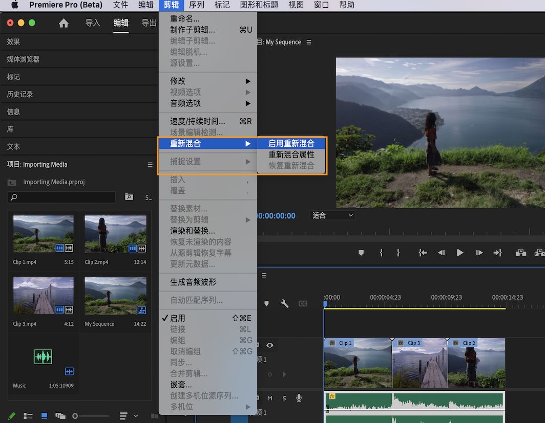 Premiere Pro (Beta) 中的“重新混合”