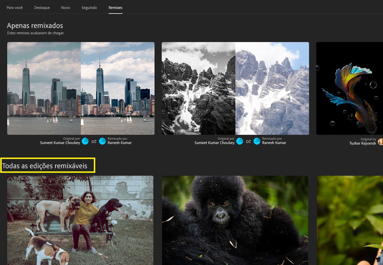 Todas as edições remixáveis 