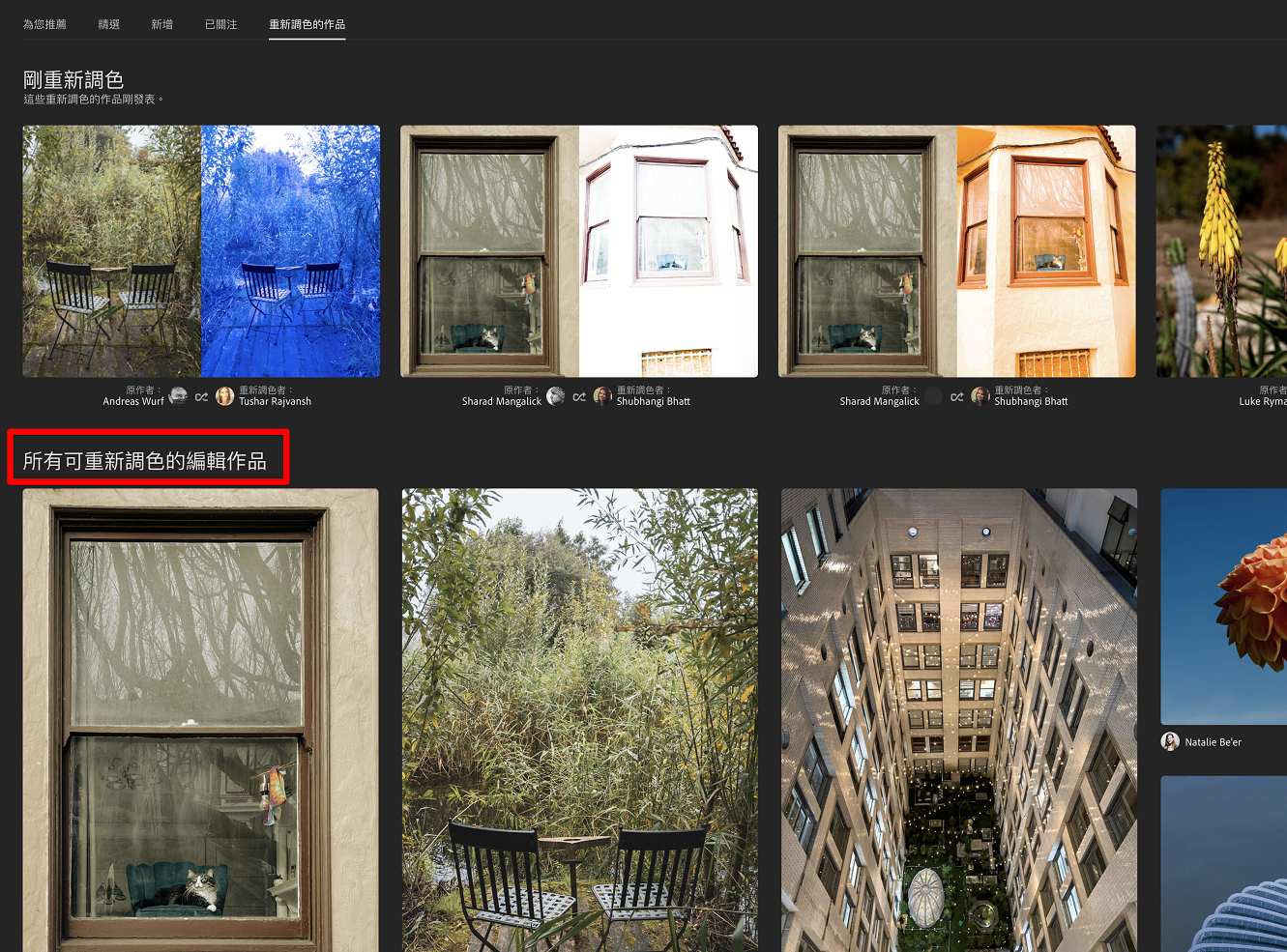 所有可重新調色的編輯作品 
