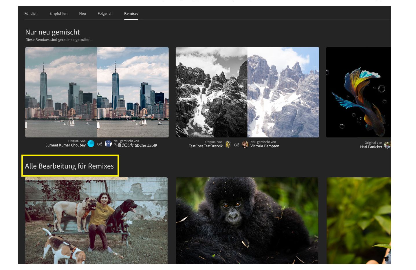 Alle Bearbeitung für Remixes 
