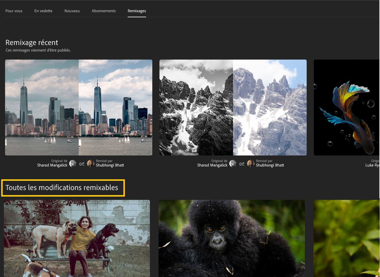 Toutes les modifications remixables 