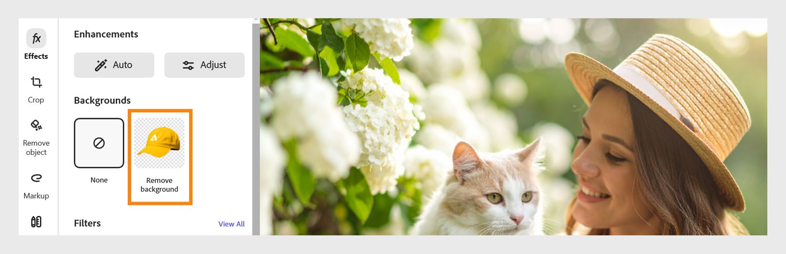 左側の効果パネルにある背景セクションの「背景を削除」オプションがハイライトされた画像エディター。