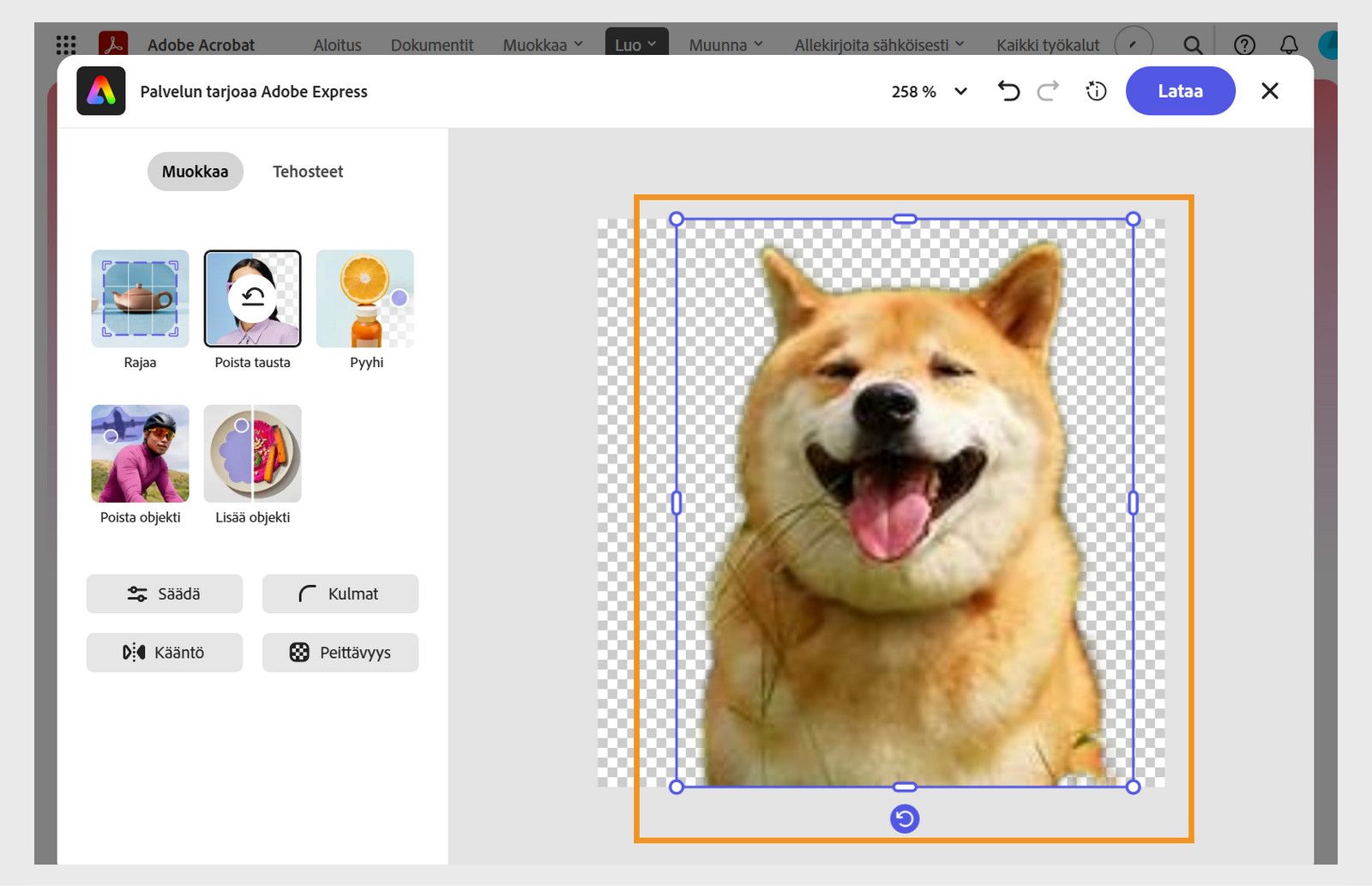 Express-kuvankäsittelyikkuna, jossa näkyy kuvanmuokkaustyökalut ja läpinäkyvä kuva keskellä sinisine kahvoineen koon muuttamista ja kiertämistä varten.