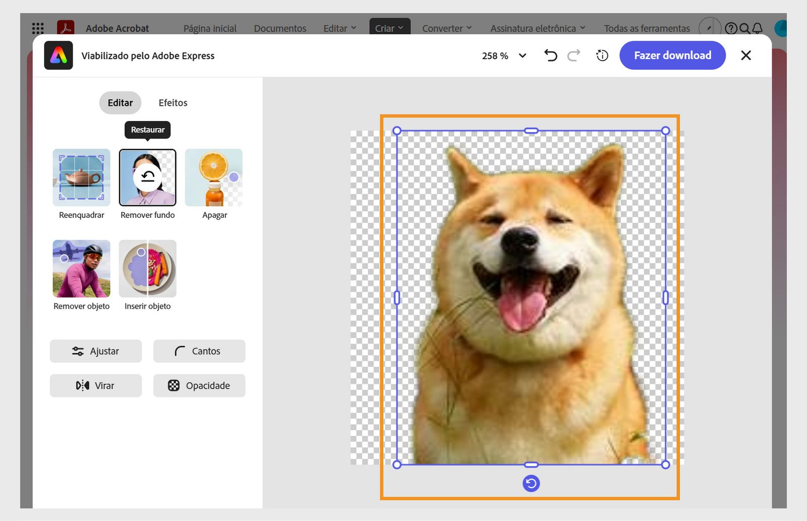 Caixa de diálogo de edição de imagens do Express, mostrando as ferramentas de modificação de imagens e uma imagem transparente no centro com alças azuis para redimensionamento e rotação.