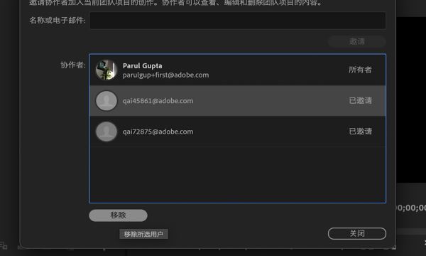 使用“删除”按钮从团队项目中移除协作者。