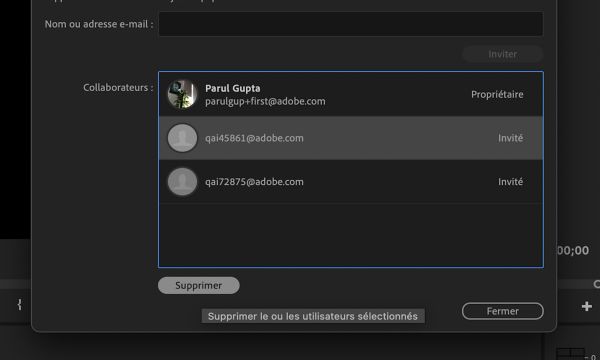 Supprimez un collaborateur ou une collaboratrice du projet d’équipe à l’aide du bouton Supprimer.