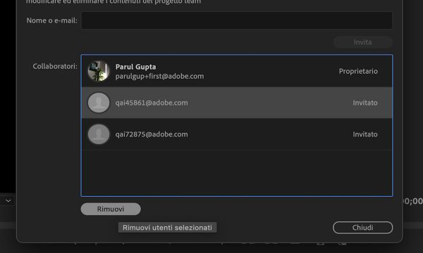 Rimuovi un collaboratore dal progetto team utilizzando il pulsante Rimuovi.