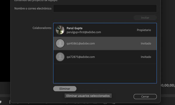 Quite a un colaborador del Proyecto de equipo con el botón Quitar.