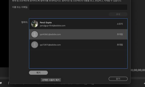 제거 버튼을 사용하여 팀 프로젝트의 공동 작업자를 제거합니다.