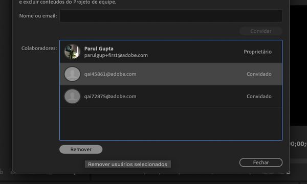 Remover um colaborador do projeto de equipe usando o botão Remover.