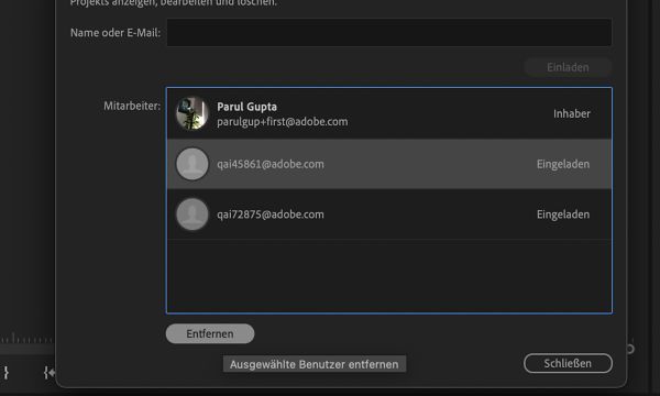 Entfernen Sie eine Mitarbeiterin oder einen Mitarbeiter aus dem Team-Projekt mithilfe der Schaltfläche „Entfernen“.