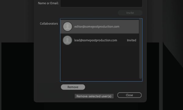 Remove a collaborator from the Team Project using the Remove button.