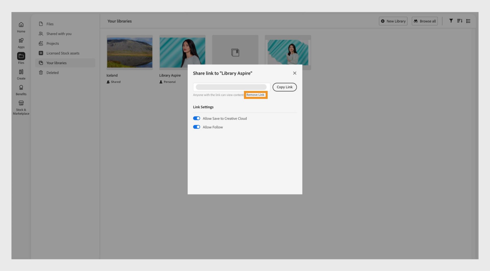 Knappen Fjern link, som er placeret under det delbare link i vinduet Del link, giver dig mulighed for at tilbagekalde adgangen til biblioteket via det delte link.