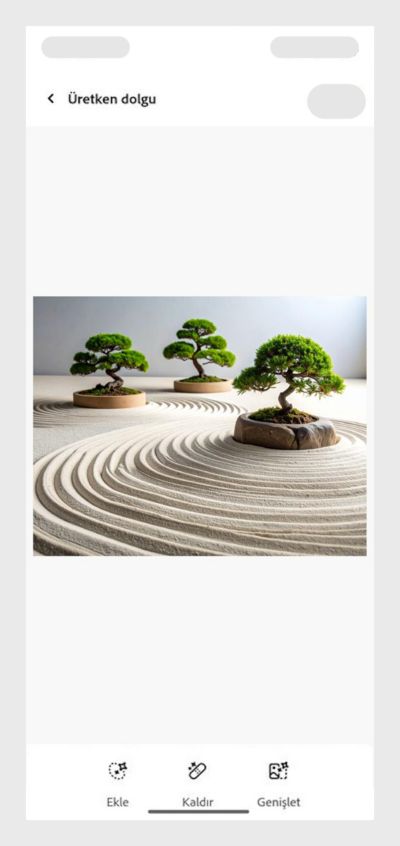 Tırmıklanmış kum ve bonsai ağaçlara, dingin bir atmosfere sahip minimalist Zen bahçesi. 