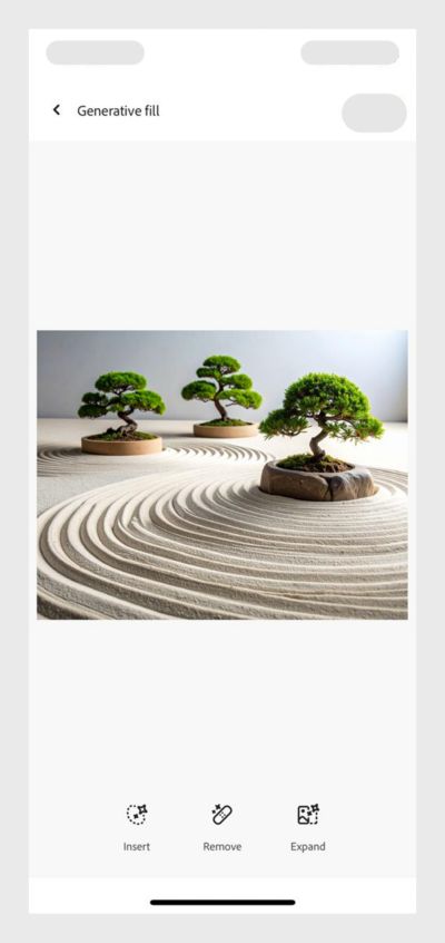 Minimalist Zen garden with raked sand and bonsai trees, serene atmosphere. 
