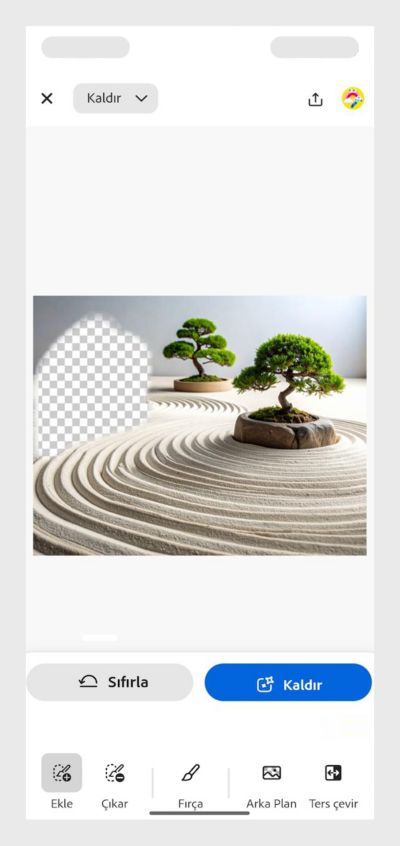 Görüntüde kumlu bir Zen bahçesi, bir ağaç, bir çalı ve pürüzsüz kahverengi taş yığını görünüyor. Fırça aracı, kaldırılması gereken alanı işaretlemek için kullanılır.