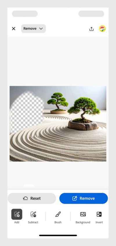 La imagen muestra un jardín zen con arena, un árbol, un arbusto y una pila de piedras marrones lisas. La herramienta Pincel se utiliza para marcar el área que se debe quitar.