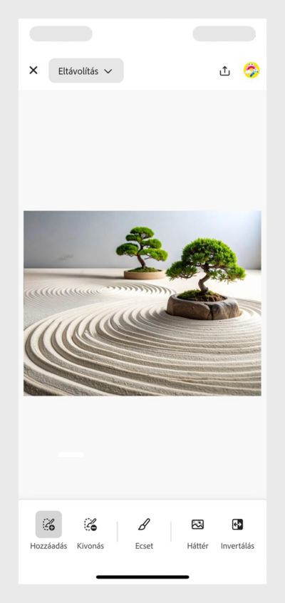 Minimalista zen kert gereblyézett homokkal és bonsai fákkal, nyugodt légkörrel. 