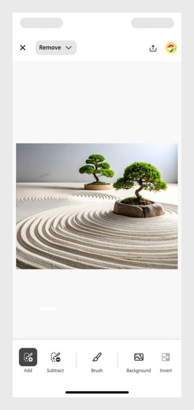 Minimalist Zen garden with raked sand and bonsai trees, serene atmosphere. 
