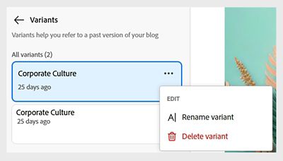 Blog variants showing options to delete and rename a variant.