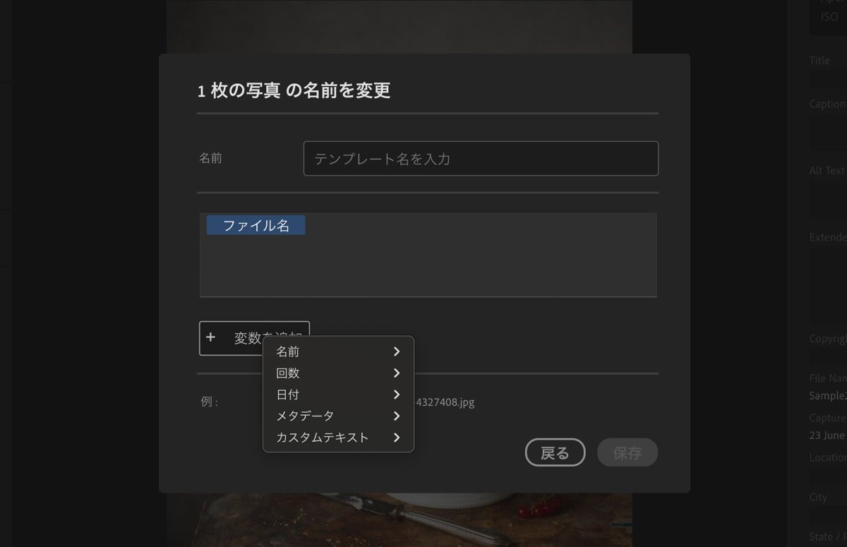 変数、名前、その他のフィールドを表示する新規テンプレート作成ダイアログボックス。