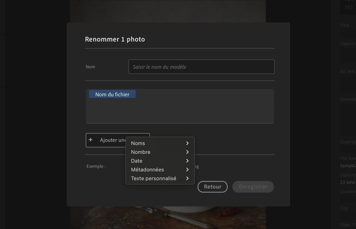 La boîte de dialogue Créer un nouveau modèle, affichant les variables, les noms et autres champs.