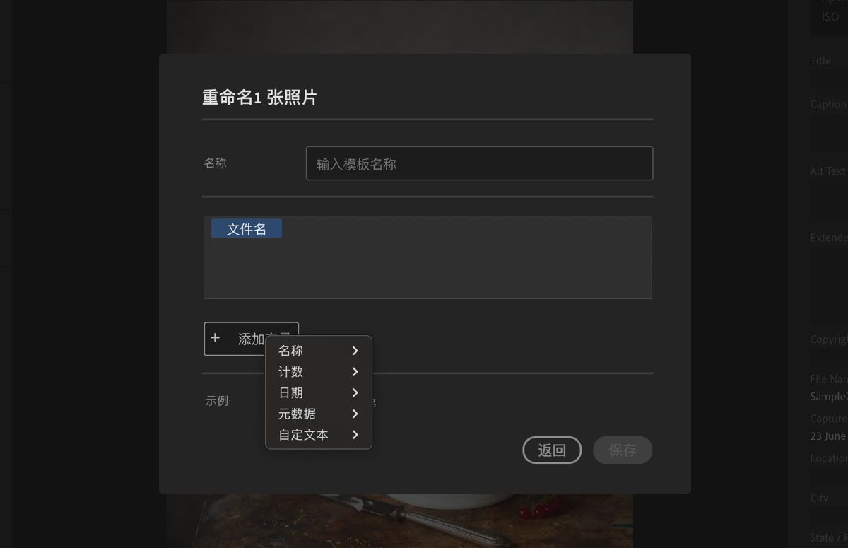 创建新模板对话框，显示变量、名称和其他字段。
