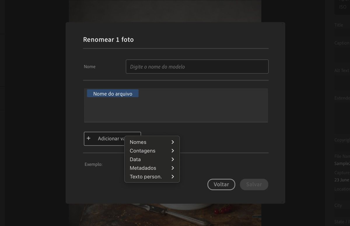 A caixa de diálogo Criar novo modelo, exibindo variáveis, nomes e outros campos.