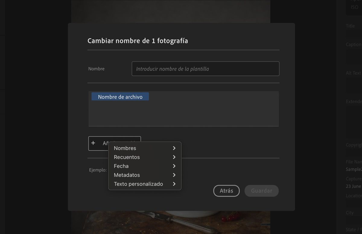 El cuadro de diálogo Crear nueva plantilla, mostrando variables, nombres y otros campos.