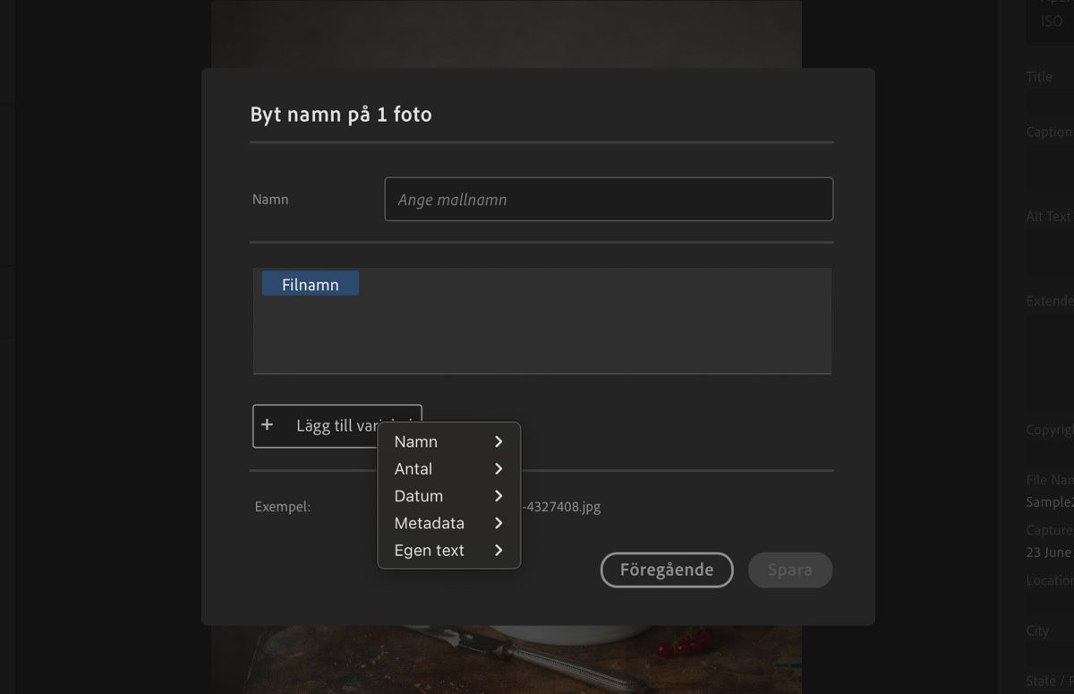 Dialogrutan Skapa ny mall, som visar variabler, namn och andra fält.