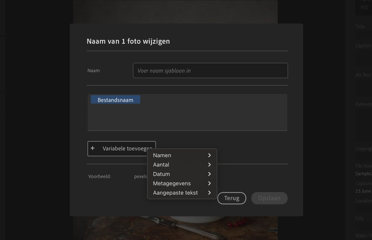 Het dialoogvenster Nieuw sjabloon maken, met weergave van variabelen, namen en andere velden.