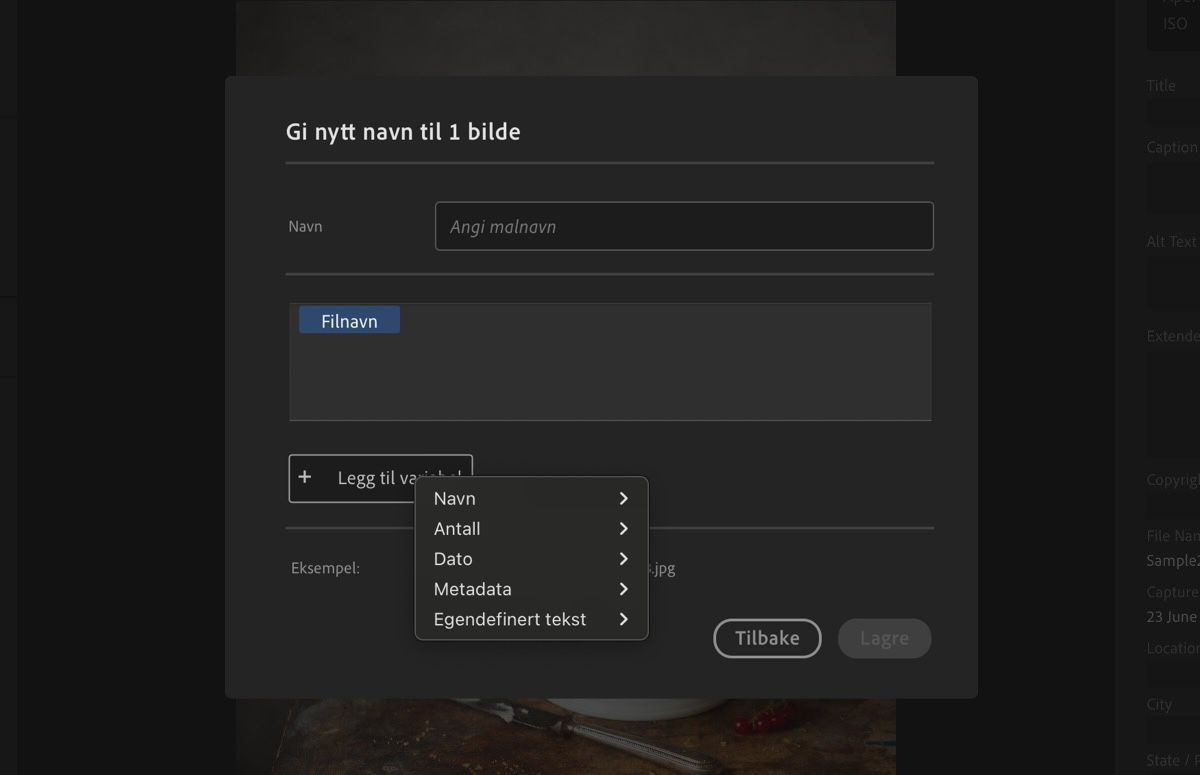 Dialogboksen Opprett ny mal, som viser variabler, navn og andre felt.
