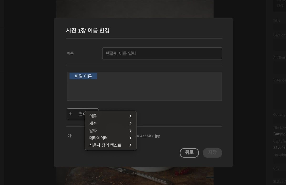 변수, 이름 및 기타 필드가 표시된 새 템플릿 만들기 대화 상자입니다.
