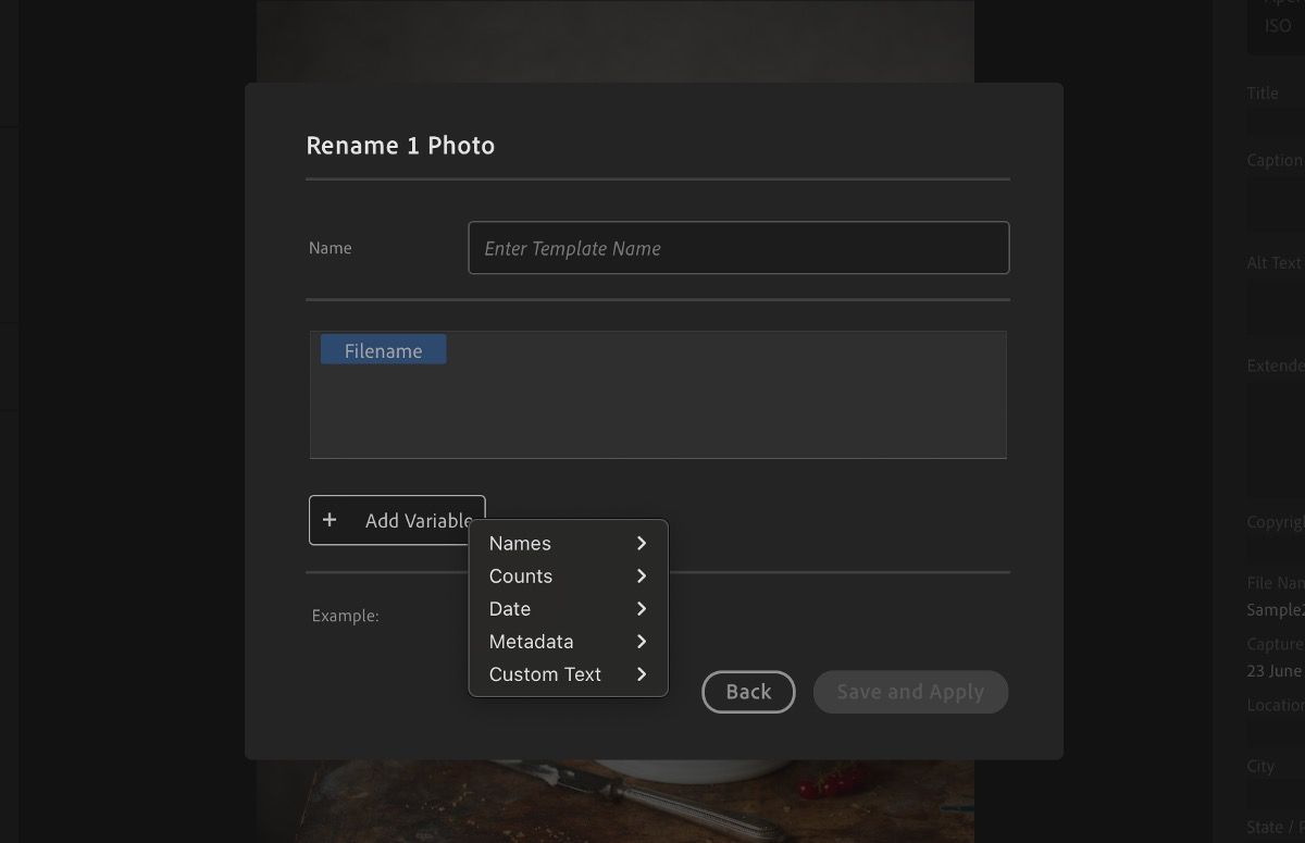 The Create new template dialog box, displaying variables, names, and other fields.